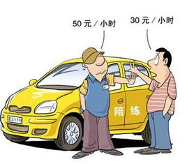 汽車(chē)陪駕 百科
